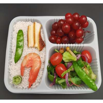 biodegradable compartment disposable meal food lunch tray with 3 compartment